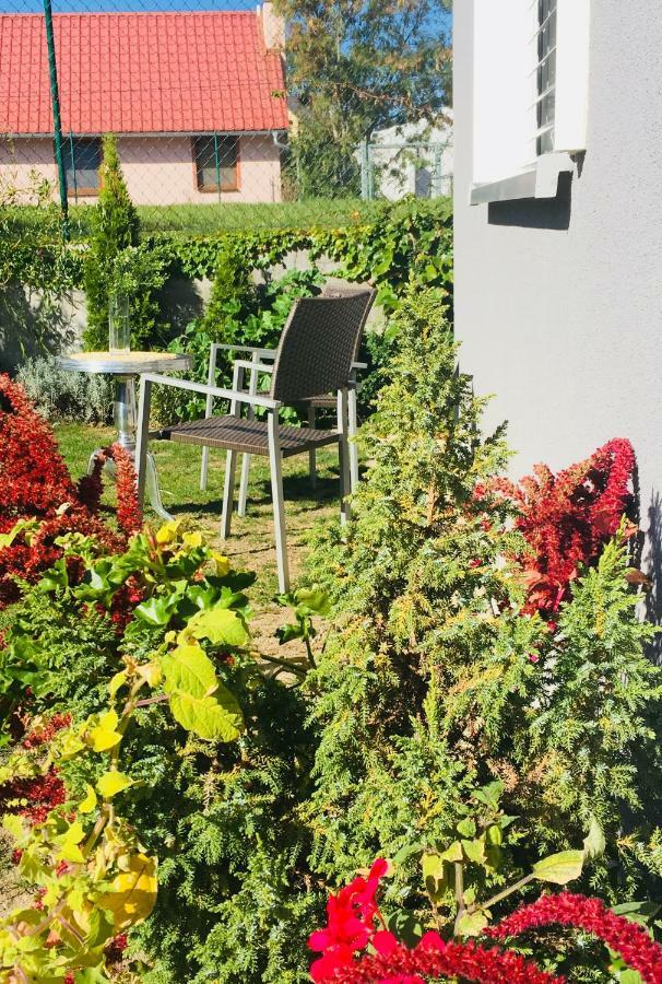Apartman U Zamecke Dyje Lednice Eksteriør billede