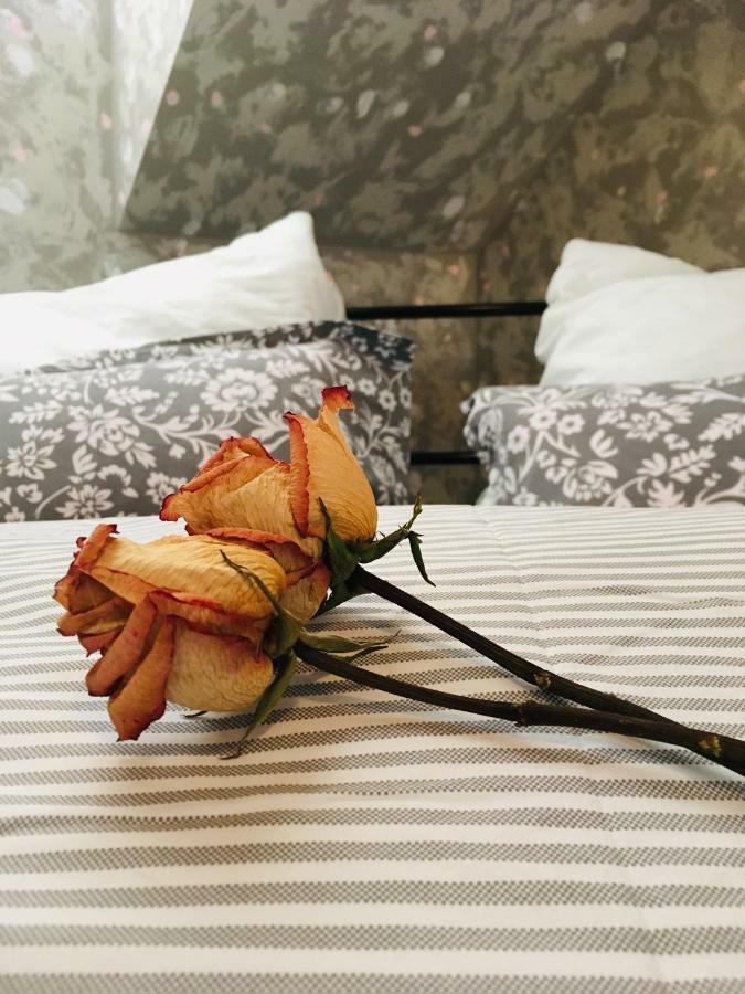 Apartman U Zamecke Dyje Lednice Eksteriør billede